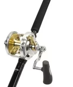 Shimano Talica Stand-up Combo TAC BFC20 REEL CH 7020 SAIL Rod & Reel Combo's