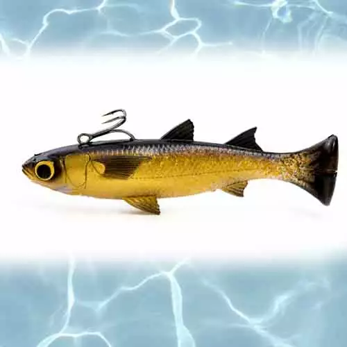 Savage Pulse Tail Mullet Line Thru Lure Lure Gear F 6In 4 Savage Gear Pulse Tail Mullet Line Thru Lure 6IN FS Lures