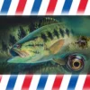 River's Edge Rivers Edge Guy Harvey Door Mat 26 X 17"