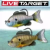 Live Target LIVETARGET 3.5in Sunfish 1/2 OZ Swimbait