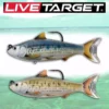 Live Target Soft Plastic Baits LIVETARGET 4in Common Shiner 3/4OZ Swimbait
