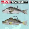 Live Target LIVETARGET 4in Croaker 1OZ Swimbait Soft Plastic Baits
