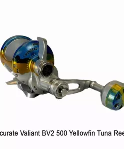 Accurate Fishing Products Accurate Valiant 2 Speed Reel