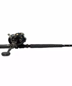 Banax BK1000 Electric Reel Shimano Talavera BW Deep Drop Rod Combo With Braid