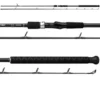 Daiwa Emblem Pro Surf Rod 2 Piece