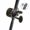 Penn Fishing Tackle Fathom 40NLDII/ SC15/25lb Conven. Combo