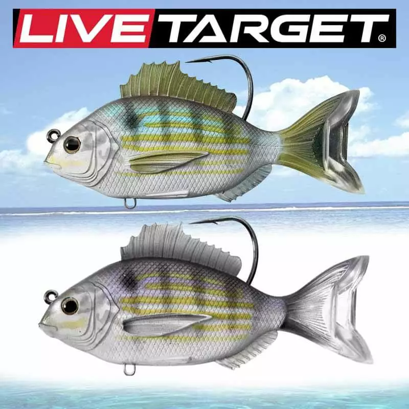 Live Target Soft Plastic Baits LIVETARGET 3.5in Pinfish Soft Sinking Lure