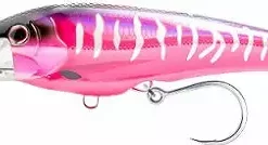 Nomad Design Tackle Nomad 8IN DTX200 Minnow Sinking Lure Lures
