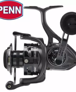 Penn Fishing Tackle Penn Clash II Spinning Reel Reels