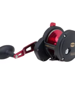 Penn Fishing Tackle Penn Fathom Single Speed Conventional Reels
