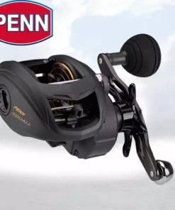 Penn Fishing Tackle Penn Squall Low Profile Baitcasting Reel