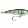 Rapala SXRSB09 X-Rap Saltwater Subwalk