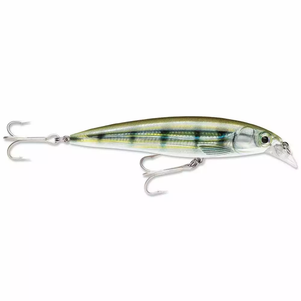 Rapala Subwalk X-Rap Sxrsb09 Saltwater 8 Rapala SXRSB09 X-Rap Saltwater Subwalk
