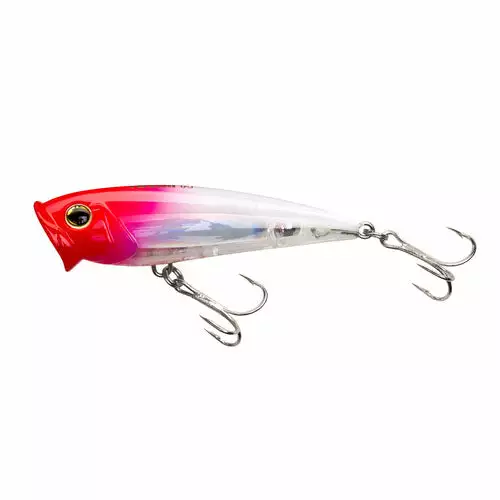 Yo-Zuri Yozuri Lure Popper 3D Series 2.75" 6 Yo-Zuri Yozuri 3D Series Popper 2.75" Lures