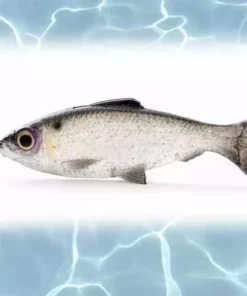 Savage Gear Loose Body BaitFish Lure 4in