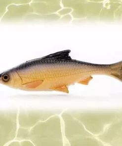 Savage Gear Loose Body Pulse Tail Shiner Lure 4in Lures