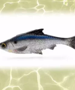 Savage Gear Loose Body Pulse Tail Shiner Lure 4in Lures