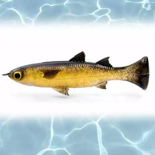 Savage Lure Gear Pulse Tail Mullet 5In 8 Savage Gear Pulse Tail Mullet Lure 5in Lures