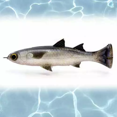 Savage Lure Gear Pulse Tail Mullet 5In 5 Savage Gear Pulse Tail Mullet Lure 5in Lures