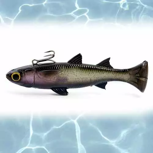 Savage Pulse Tail Mullet Line Thru Lure Lure Gear F 6In 8 Savage Gear Pulse Tail Mullet Line Thru Lure 6IN FS Lures