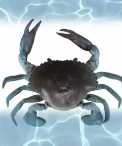 Savage Gear TPE 3D Crab Soft Bait Lure 2