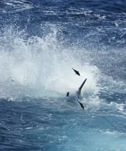 Marlin Mudflaps Lures B.A.T. Teaser