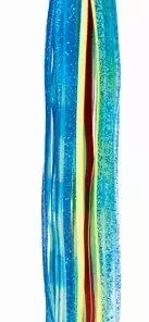 Bahama Lures Bahama Lure Phoebe 50 Lures