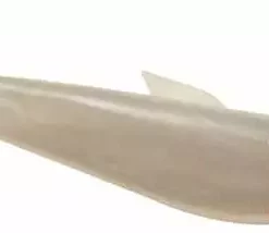 DOA Lures Soft Plastic Baits DOA Bait Buster