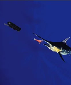 GoFish Cam Wireless Underwater Fishing Camera