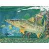 River's Edge Gifts Guy Harvey's Snook Cutting Boards In 12x16IN
