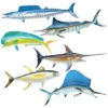King Sailfish Mounts King Sailfish Miniature Fish Mounts Clothing & Gifts