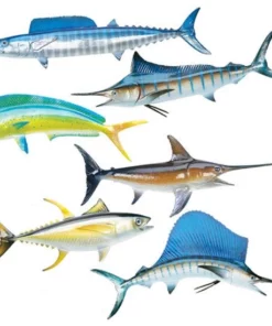 King Sailfish Mounts King Sailfish Miniature Fish Mounts Clothing & Gifts