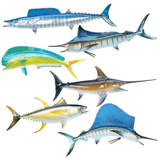 Clothing Mount Miniature Fish King Sailfish 3 King Sailfish Mounts King Sailfish Miniature Fish Mounts Clothing & Gifts