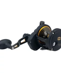 Penn Fishing Tackle Penn Fathom Lever Drag 2-Speed Conventional Reels