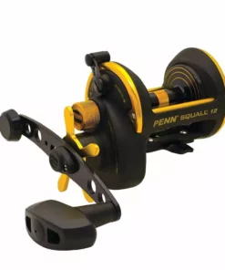 Penn Fishing Tackle Penn Squall Star Drag Conventional Reels
