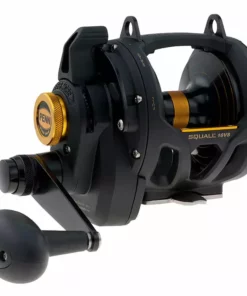 Penn Fishing Tackle Penn Squall Lever Drag 2 Speed Conventional Reels