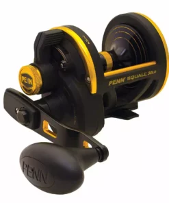 Penn Fishing Tackle Penn Squall Lever Drag Conventional Reels