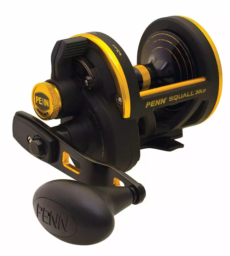 Penn Tackle Squall Lever Drag Reel Conventional Fishing 4 Penn Fishing Tackle Penn Squall Lever Drag Conventional Reels