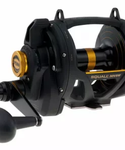 Penn Fishing Tackle Penn Squall Lever Drag 2 Speed Conventional Reels