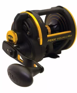 Penn Tackle Squall Lever Drag Reel Conventional Fishing 8 Penn Fishing Tackle Penn Squall Lever Drag Conventional Reels