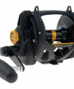 Penn Fishing Tackle Penn Squall Lever Drag 2 Speed Conventional Reels