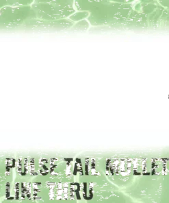 Lures Savage Gear Pulse Tail Mullet Line Thru Lure 8in