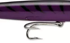 Rapala CDMAG22 Countdown Magnum Plug