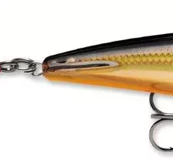 Rapala X-Rap Subwalk