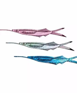 Strike Point Tackle Holographic Ballyhoo Strips
