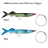 Williamson Lures Williamson J-Rigged Live Ballyhoo